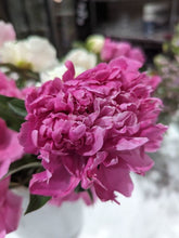 Load image into Gallery viewer, Peony Party Subscription