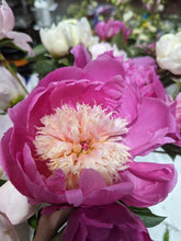 Load image into Gallery viewer, Peony Party Subscription