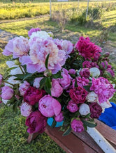 Load image into Gallery viewer, Peony Party Subscription