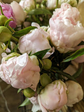Load image into Gallery viewer, Peony Party Subscription