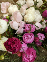 Load image into Gallery viewer, Peony Party Subscription