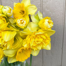 Load image into Gallery viewer, Bouquet Subscription Credit "Top Up"