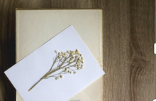 Load image into Gallery viewer, Flower Pressing Happy Hour Workshop