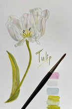 Load image into Gallery viewer, Let&#39;s Paint Tulips: Watercolor Painting with Angela Stevens
