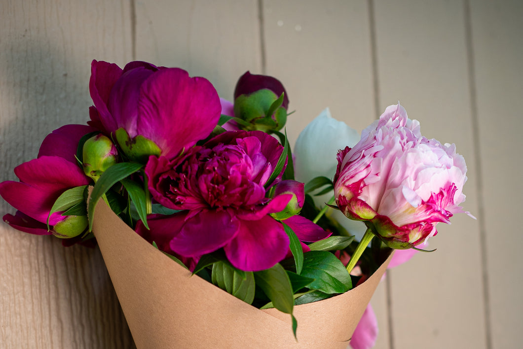 Peony Party Subscription
