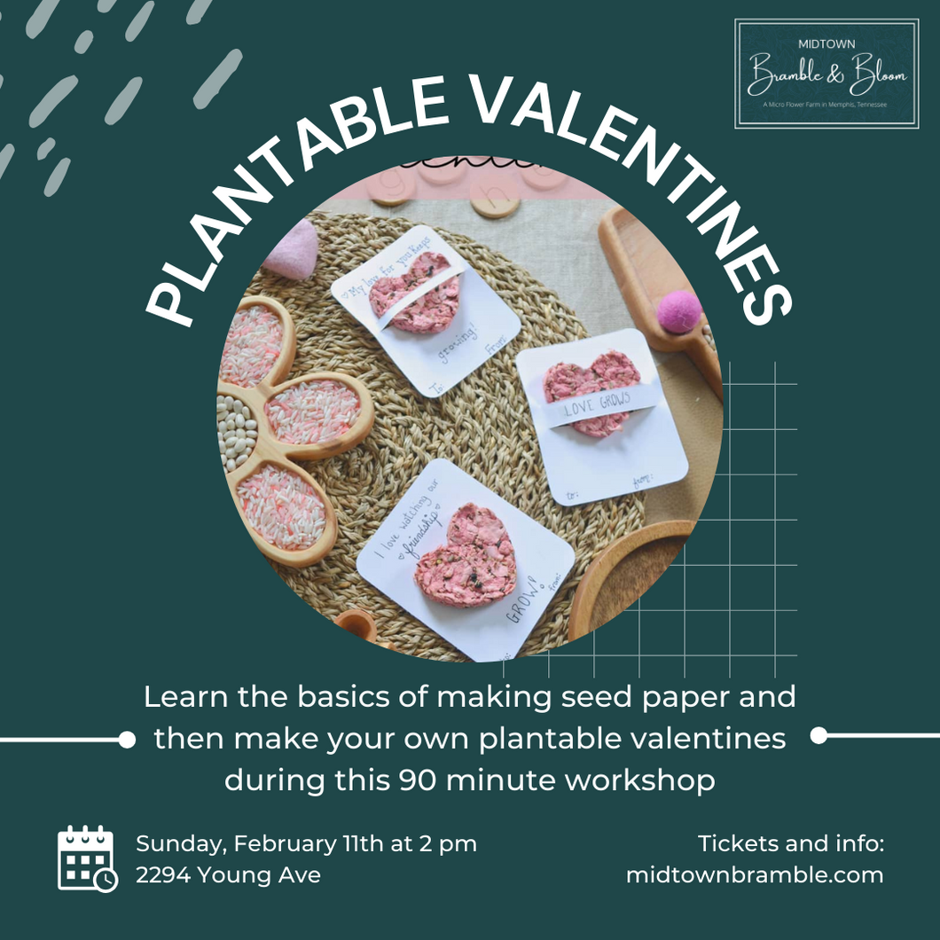 Plantable Valentines Workshop