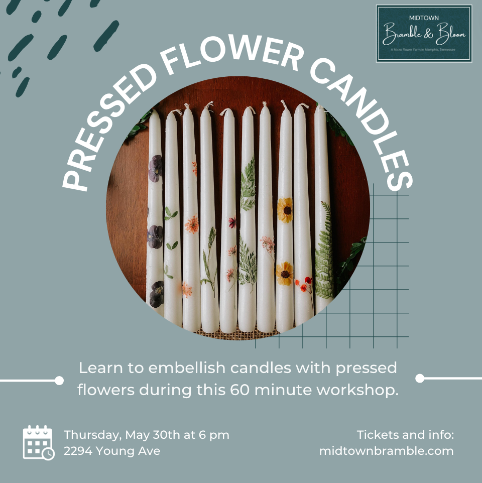 Pressed Flower Candle Workshop