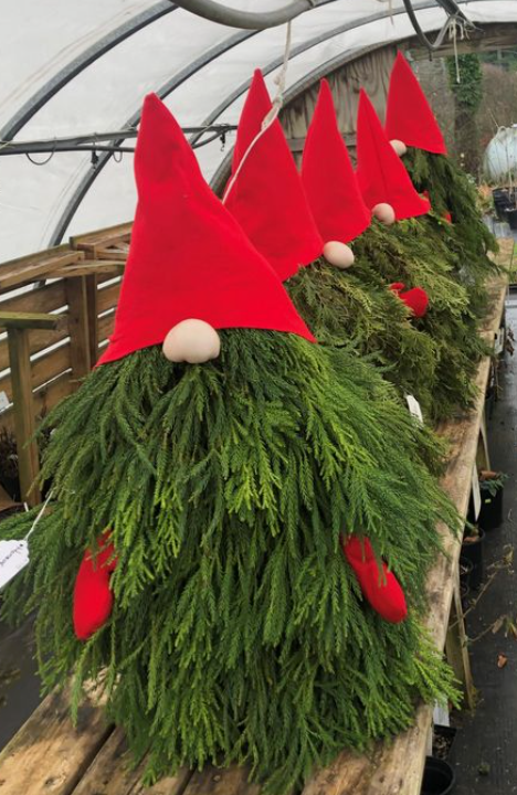 Evergreen Gnome Workshop at Wiseacre HQ