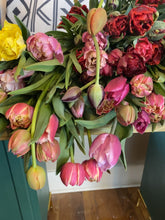 Load and play video in Gallery viewer, Tulip Mania Bouquet Subscription (4 Consecutive Weeks of Tulips)
